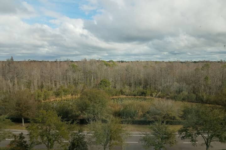Hotel View 62 of 63